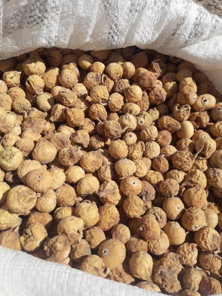 تصویر 1 از انجیر خشکباری فارس + قیمت عادلانه